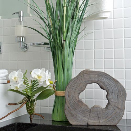 Floristik24 Orchidea bianca con mossballs e radici 36cm