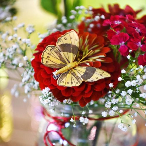 Prodotto Farfalla primaverile con clip decorazione a molla dorata 6 cm 10 pezzi in un set
