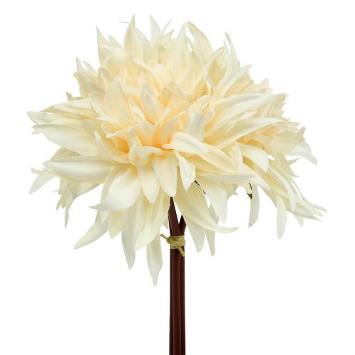 Floristik24 Crema di dalia artificiale 25,5 cm 3 pezzi