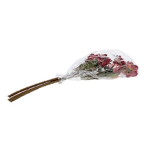 Floristik24 Dalia Erika Ø10cm L68cm 3 pezzi