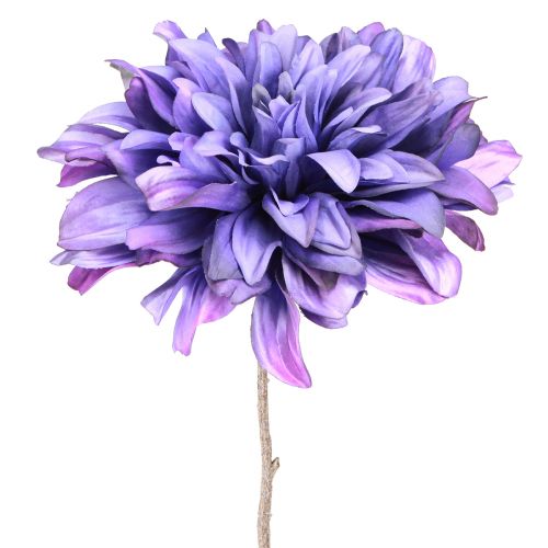 Floristik24 Dalia artificiale con fiori grandi in viola L58cm