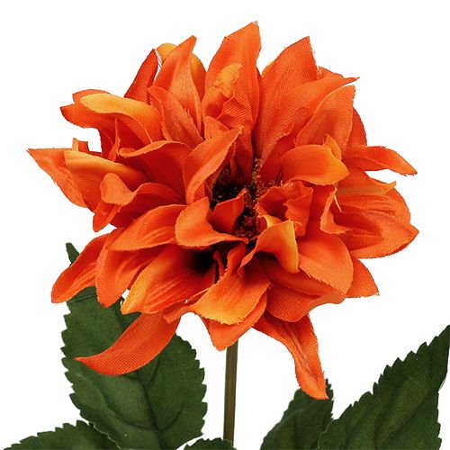 Floristik24 Arancia Dalia 28 cm 4 pezzi
