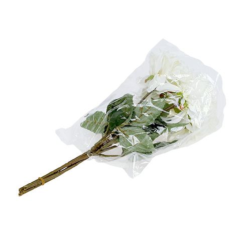 Prodotto Dalia bianco 28 cm 4 pezzi