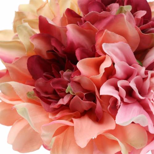 Floristik24 Mazzo di mazzi di dalia 28 cm rosa, crema 6 pezzi