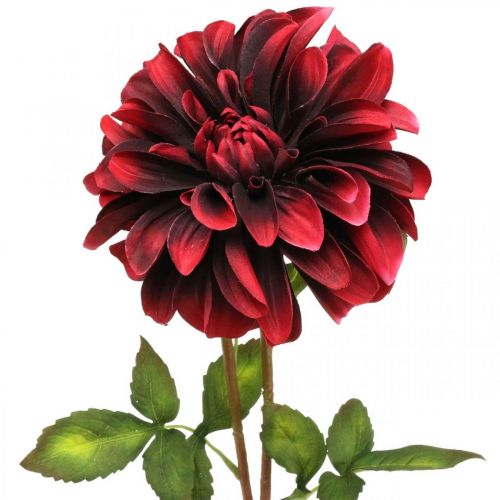 Prodotto Fiore artificiale dalia fiore di seta rosso autunno 78cm Ø3 / 15cm