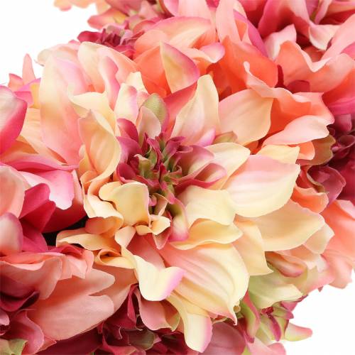 Prodotto Ghirlanda di fiori di dalia rosa, crema Ø42cm
