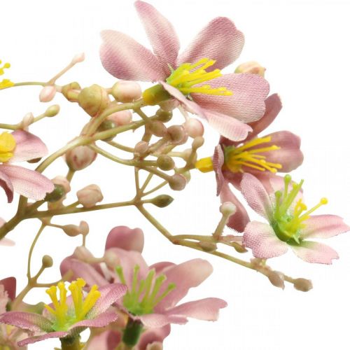 Prodotto Ramo decorativo con fiori rosa artificiale Daphne ramo 110cm 3 pezzi