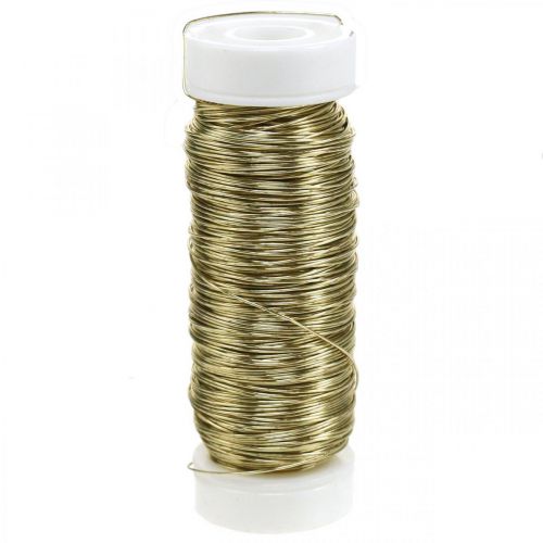 Floristik24 Filo smaltato decorativo Ø0.30mm 30g/50m oro