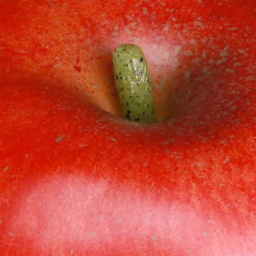 Prodotto Manichino decorativo per frutta decorativa rossa mela 9 cm