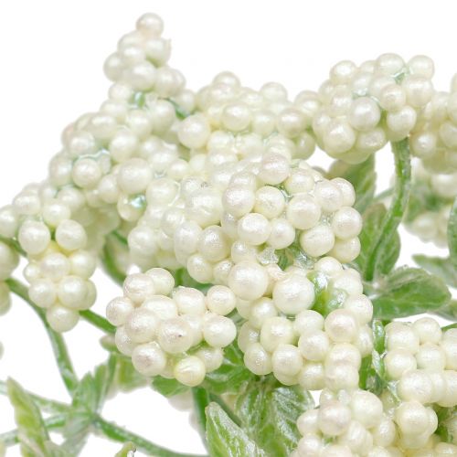 Floristik24 Ramo di bacche decorative bianco 24 cm 5 pezzi