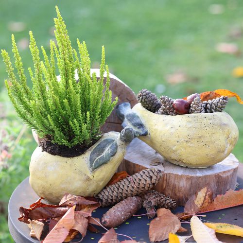 Prodotto Fioriera decorativa in cemento a forma di pera, decorazione autunnale 19×12,5×15,5 cm