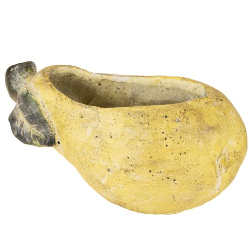 Floristik24 Vaso decorativo per piante autunnali in cemento, 25×13×11cm