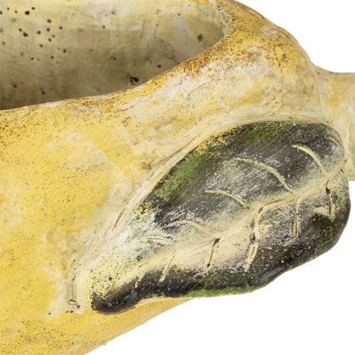 Prodotto Vaso decorativo per piante autunnali in cemento, 25×13×11cm