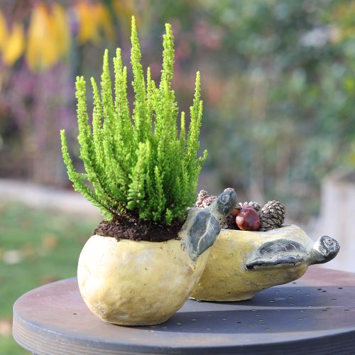 Prodotto Vaso decorativo per piante autunnali in cemento, 25×13×11cm