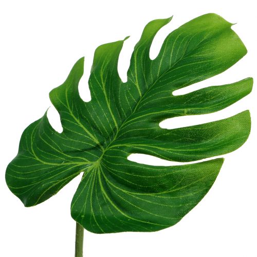 Floristik24 Foglia Deco Philo Foglia Verde L11cm L29.5cm 3pz