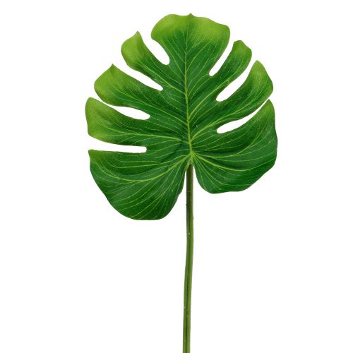 Floristik24 Foglia Deco Philo Foglia Verde L11cm L29.5cm 3pz