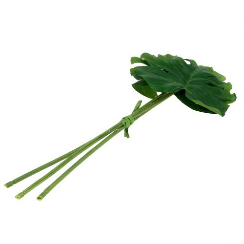 Floristik24 Foglia Deco Philo Foglia Verde L11cm L29.5cm 3pz