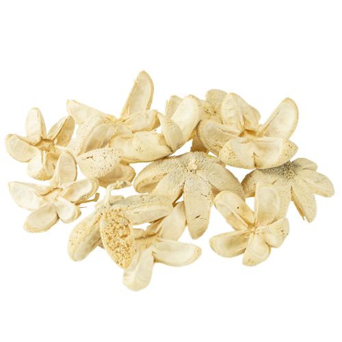 Prodotto Fiore decorativo sbiancato 12 pezzi
