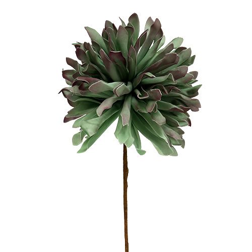 Floristik24 Ramo decorativo fiore verde schiuma 70 cm