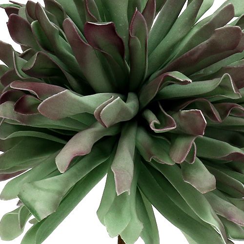 Floristik24 Ramo decorativo fiore verde schiuma 70 cm