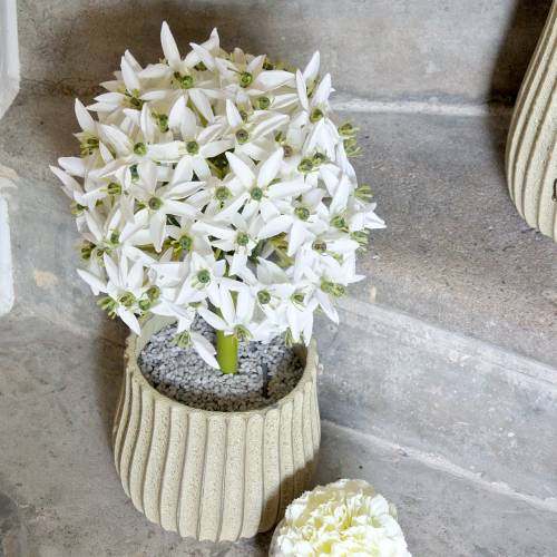 Prodotto Fiore decorativo Allium, porro palla artificiale, cipolla ornamentale bianca Ø20cm L72cm