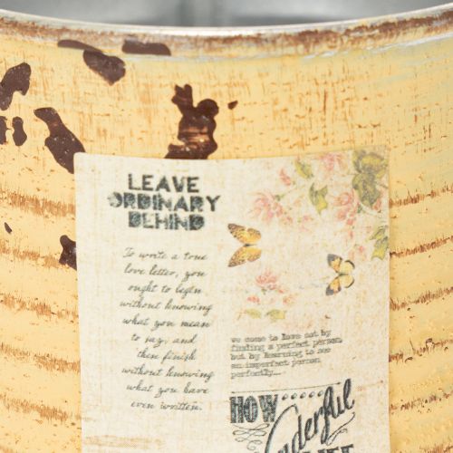 Prodotto Vaso decorativo in latta, colore albicocca estivo, in metallo, per piante, Ø8cm H7.5cm