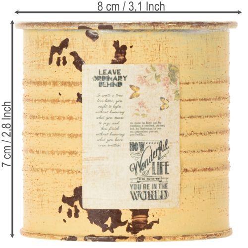 Prodotto Vaso decorativo in latta, colore albicocca estivo, in metallo, per piante, Ø8cm H7.5cm