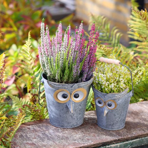 Floristik24 Secchio decorativo gufo fioriera in zinco con manico Ø15/19cm set da 2