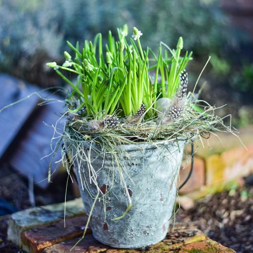 Floristik24 Secchio decorativo, vaso di fiori, secchio in ceramica aspetto antico Ø19,5cm H19cm