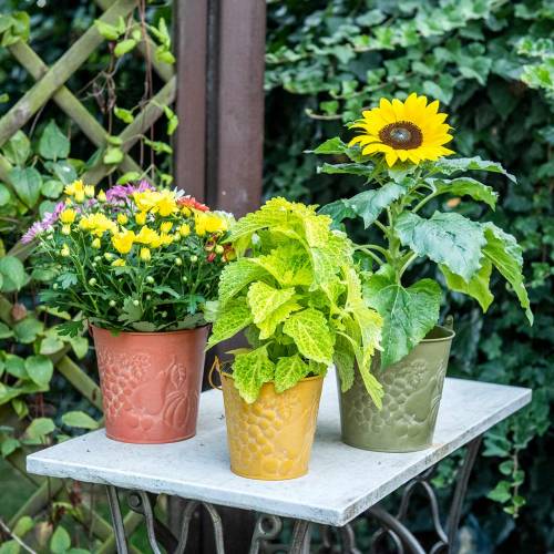 Prodotto Secchio decorativo di frutta lavato giallo, arancio, verde Ø15cm H14cm set di 3