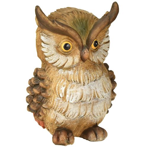 Floristik24 Figura decorativa di gufo dipinta a mano, decorazione autunnale in poliresina H14cm