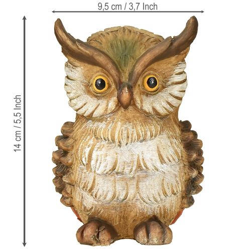 Prodotto Figura decorativa di gufo dipinta a mano, decorazione autunnale in poliresina H14cm