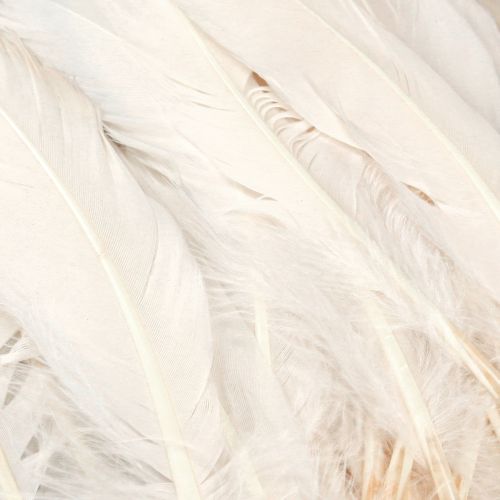 Prodotto Piume decorative vere piume di uccello champagne 20g