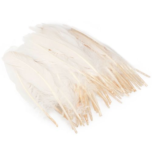 Prodotto Piume decorative vere piume di uccello champagne 20g