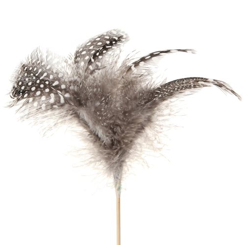Floristik24 Piume decorative di faraona punteggiate su bastoncino naturale L35cm 12 pezzi