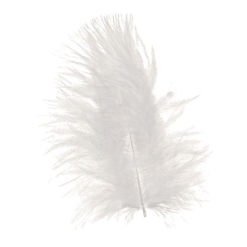 Floristik24 Piume decorative in materiale bianco per artigianato primaverile 5-10 cm 20 g