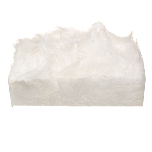 Prodotto Piume decorative in materiale bianco per artigianato primaverile 5-10 cm 20 g