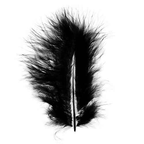 Floristik24 Piume corte 30 g nere