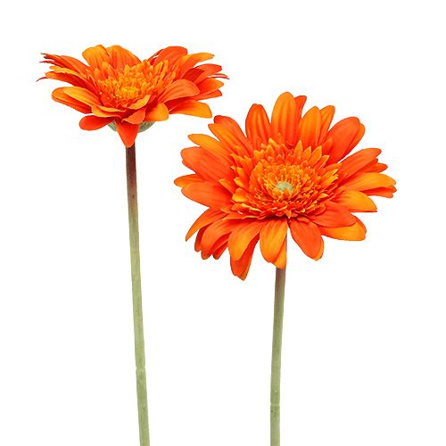 Floristik24 Deco Gerbera Orange Ø10cm L53cm 6pz