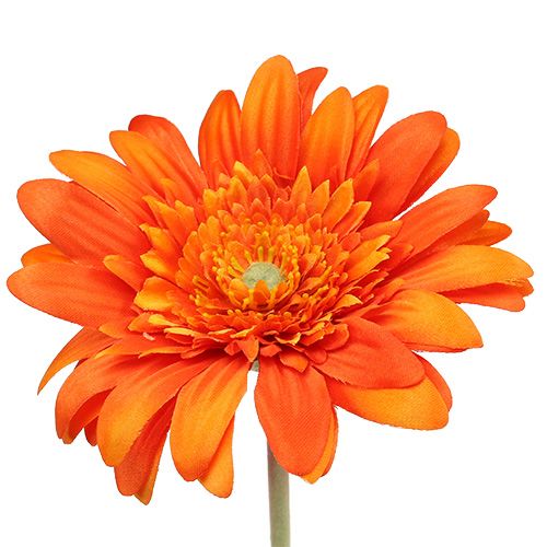 Floristik24 Deco Gerbera Orange Ø10cm L53cm 6pz