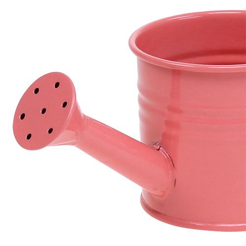 Floristik24 Annaffiatoi decorativi asino pastello. Ø7,5cm H7,5cm 8 pezzi