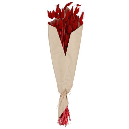 Floristik24 Erba decorativa Red Lagurus Fiori secchi Erba coda di coniglio 50g