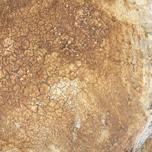 Prodotto Statuina decorativa a forma di coniglio per accenti primaverili in casa, 32 cm, 2 pezzi