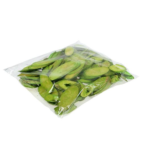 Floristik24 Dischi decorativi in legno verde primavera 300g