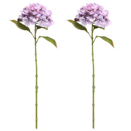 Prodotto Decorazione Ortensie Fiori Artificiali Fiore Viola Ø18cm 69cm 2pz