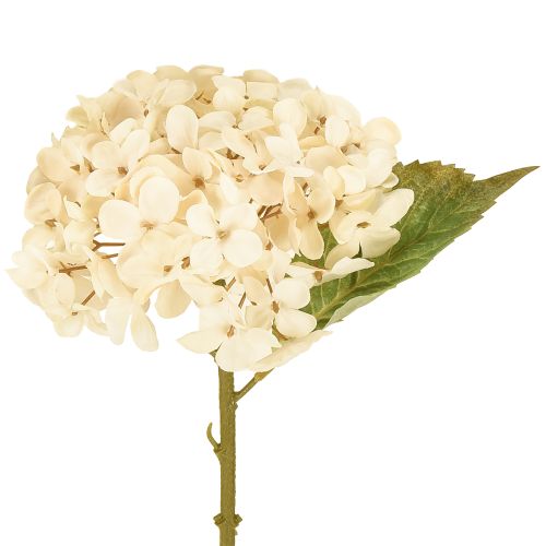Ortensie decorative artificiali in seta color crema, 34 cm, 2 pezzi
