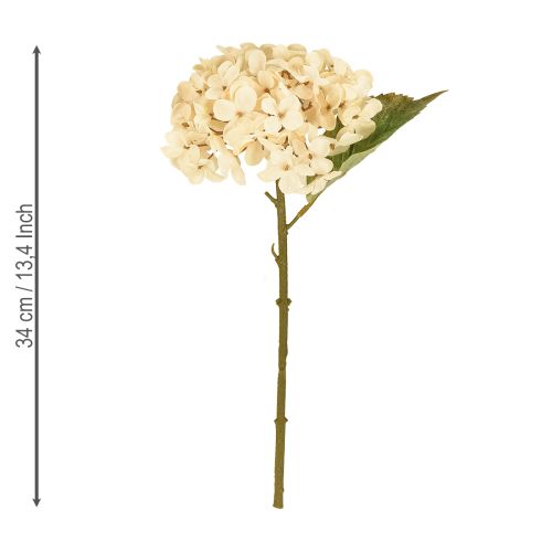 Prodotto Ortensie decorative artificiali in seta color crema, 34 cm, 2 pezzi