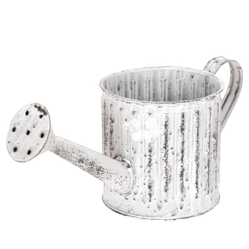 Annaffiatoio decorativo, fioriera, annaffiatoio per piante Ø10,5 cm acquistare | Floristik24.it