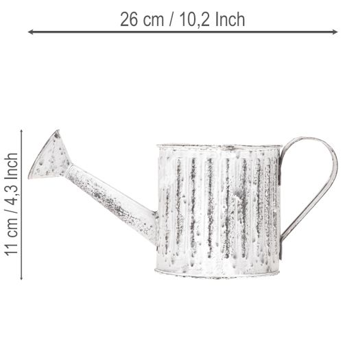 Annaffiatoio decorativo, fioriera, annaffiatoio per piante Ø10,5 cm | Floristik24.it