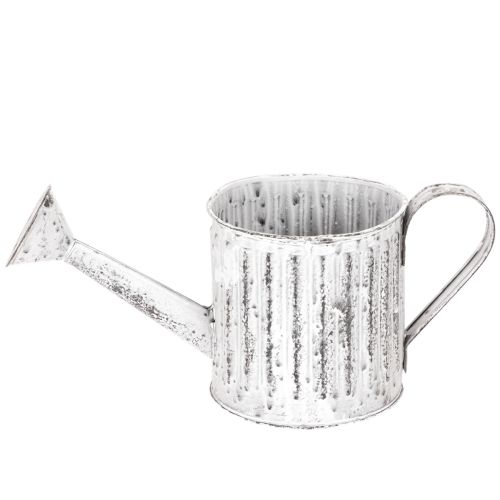 Annaffiatoio decorativo, fioriera, annaffiatoio per piante Ø10,5 cm | Floristik24.it